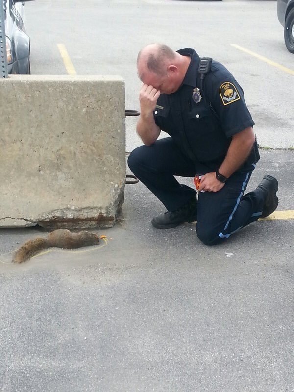 thecommonchick:  meanwhile, in canada: 