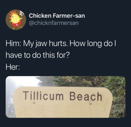 That Kinky Fat Girl