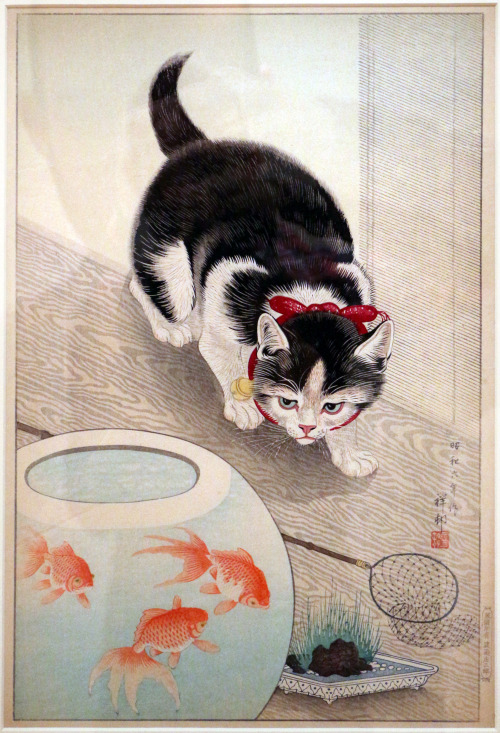blondebrainpower:Cat and Bowl of Goldfish, 1933By Ohara Koson