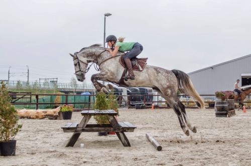 groomsecrets: heartyourhorse:  This little man can do just anything he is my hero