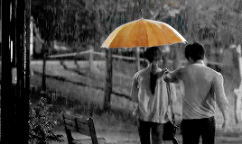 rabonghee:    “somewhere out there, there is a yellow umbrella for everyone.”  