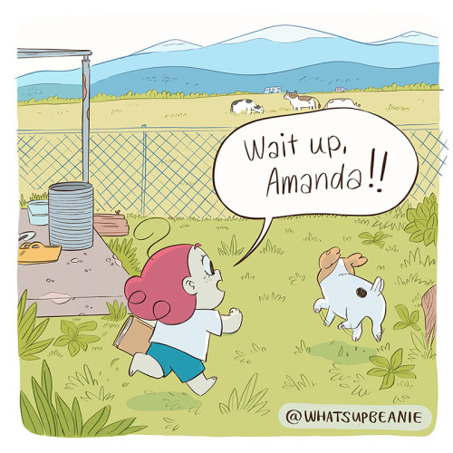 whatsupbeanie:Our neighbours had cows and every now and again I would run up to the fence to visit t