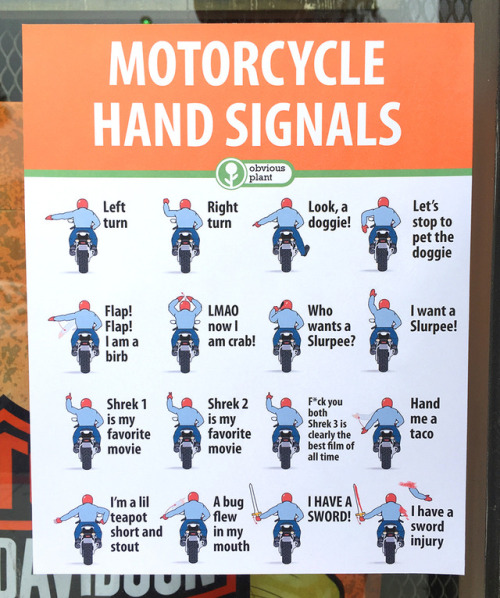 obviousplant: Motorcycle hand signals