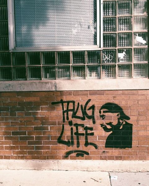 Ostentation Bitch