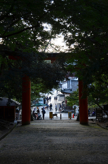 Large Red Nara Torii by pokoroto on Flickr.