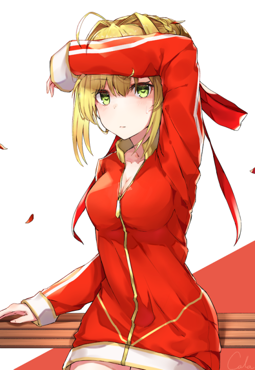 thetangles: ★  コーラ  |  Nero ☆ ⊳ nero claudius (fate/grand order) ✔ republished w/permission      