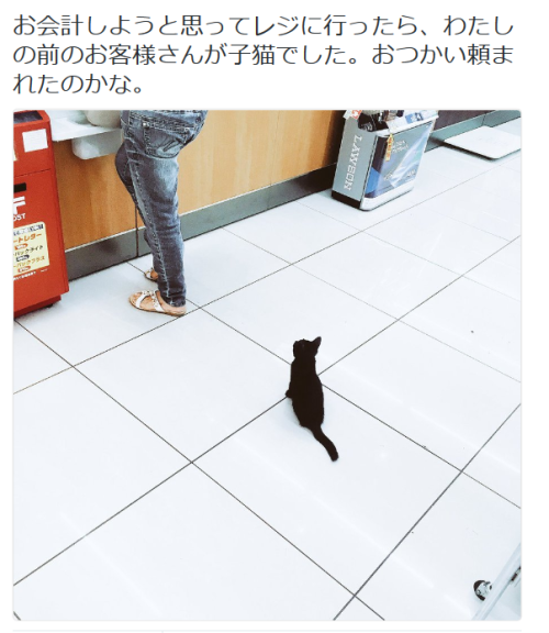 highlandvalley:  ぼっちさんのツイート: “お会計しようと思ってレジに行ったら、わたしの前のお客様さんが子猫でした。おつかい頼まれたのかな。 https://t.co/WdkoP3CUVK”