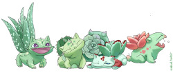 tyleroakley:  megapokemonxy:  rambled:  succulentsaurs