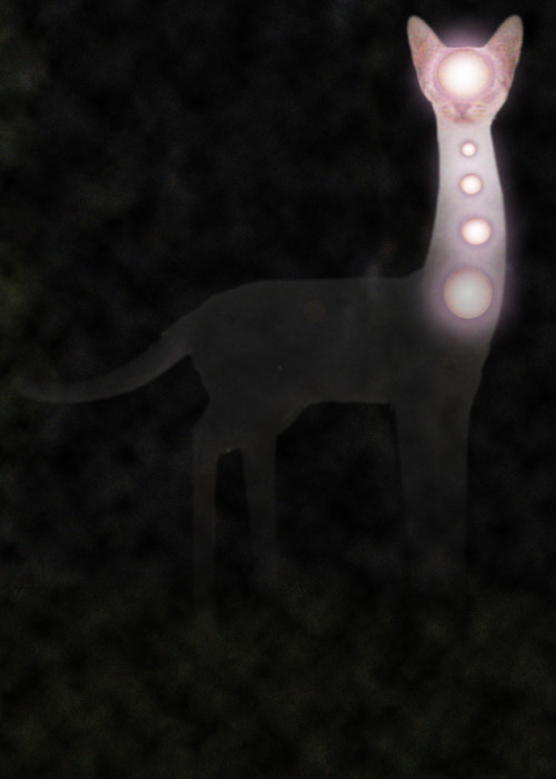 An older cryptid I made in digital art class that I forgot to post