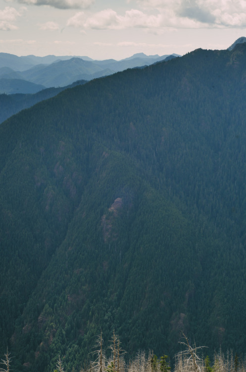 View from Mt. RosePrints