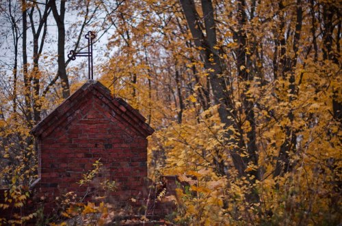 Porn nadianirvana:  Autumn Calvaria by Сяржук photos