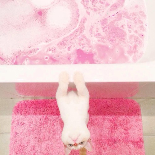 strawberrrryred:  bath time!