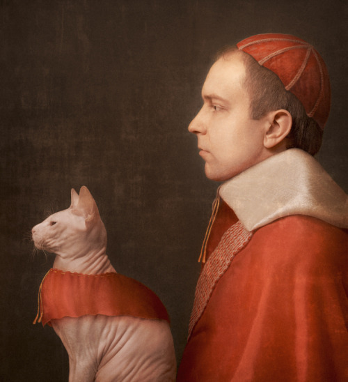 The cardinal by ~ZWIR