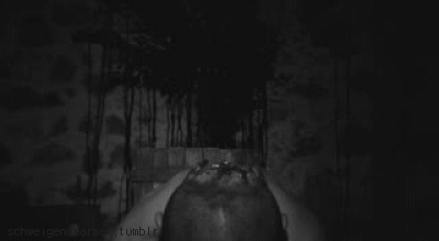 A Demon's Reflection