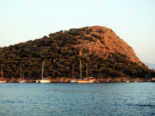 Naked night swimming with glowing plankton, pulling shapes off the end of the boat into the turquois
