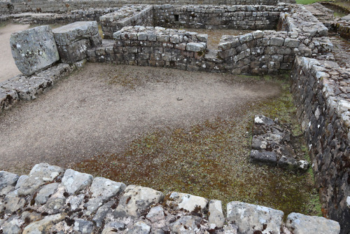 thesilicontribesman: The Headquarters Building, Vindolanda Roman Fort, Northumberland, 29.4.18. The 