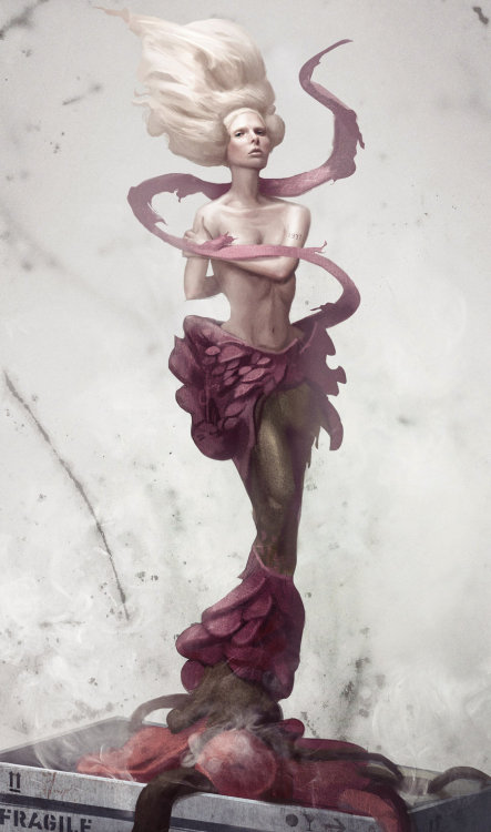 lohrien:  Illustrations by Gerry Arthur