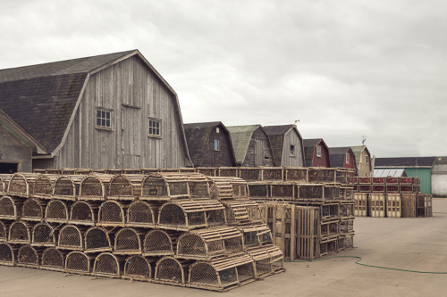 Malpeque Harbor, PEI