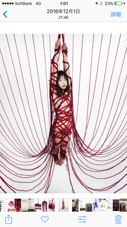 hajimekinoko: Red Model Ageha Asiago Photo&Rope Hajime Kinoko my web shibari.jp