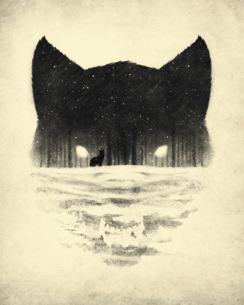 sosuperawesome:  Dan Burgess, on Tumblr Shop 