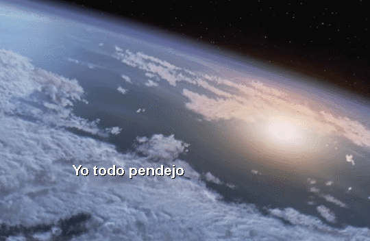 welele:  MUY pendejo
