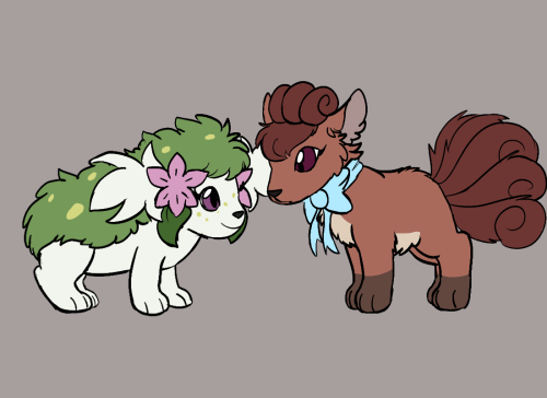 Im Playing The Pmd Randomizer And Somehow Ended Up With A Vulpix Hero And A Shaymin Partner