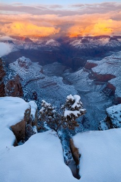 ponderation:Grand Canyon Winter Wonderland