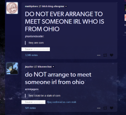 arkvicaria:  lmao my dash did a thing  lol! but not always! The sweetest and prettiest person I&rsquo;ve met in a long time is from Ohio. And def not a stalk of corn! (though some of the jokes we share get pretty corny)  &lt;3