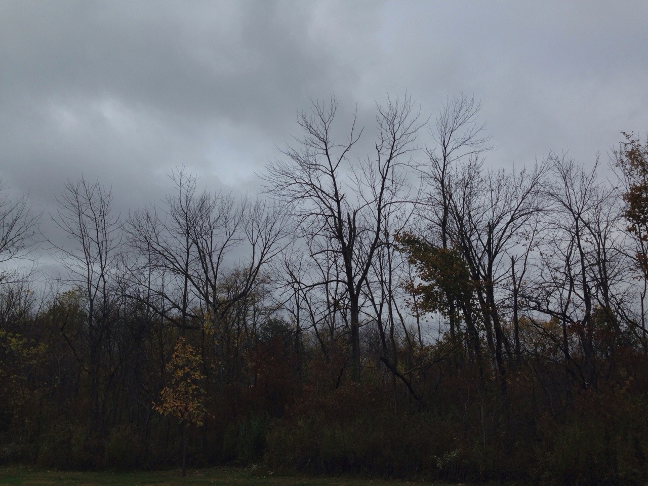 rainstays:  10/18; did you think there’d be days like these? 