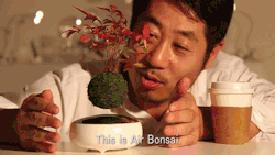 prostheticknowledge:  Air Bonsai @kickstarter