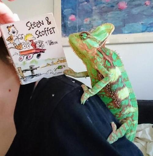 Here’s the sweetest reptile I know, with the tiniest comic book I own. 