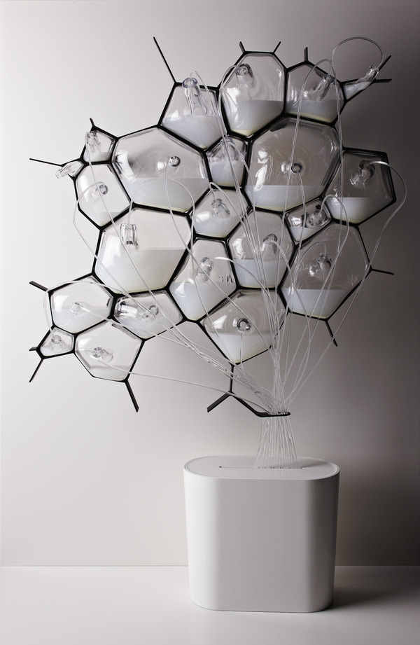 iheartmyart:  Bio-light…light fixture that runs on bacteria. (via natureoflight)