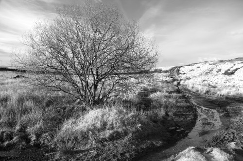 Knowl Hill, Ashworth Moor and Rooley Moor Images, referenced sites of archaeological excavations in 
