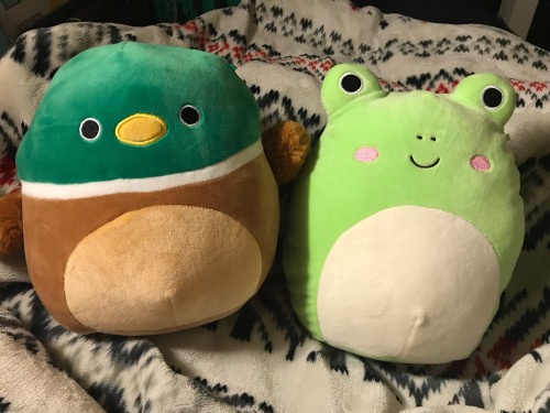 My Mom Went To Five Below A Couple Days Ago And Found These Guys!