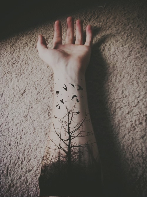 ninepulse:  Creepy/paranormal Blog   ☠   