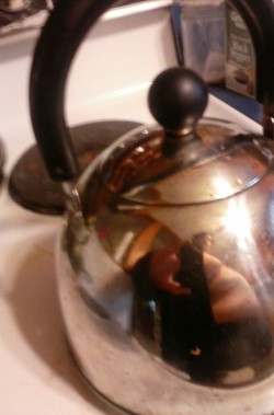 Making breakfast I noticed my reflection on the coffee pot and decided to take a pic