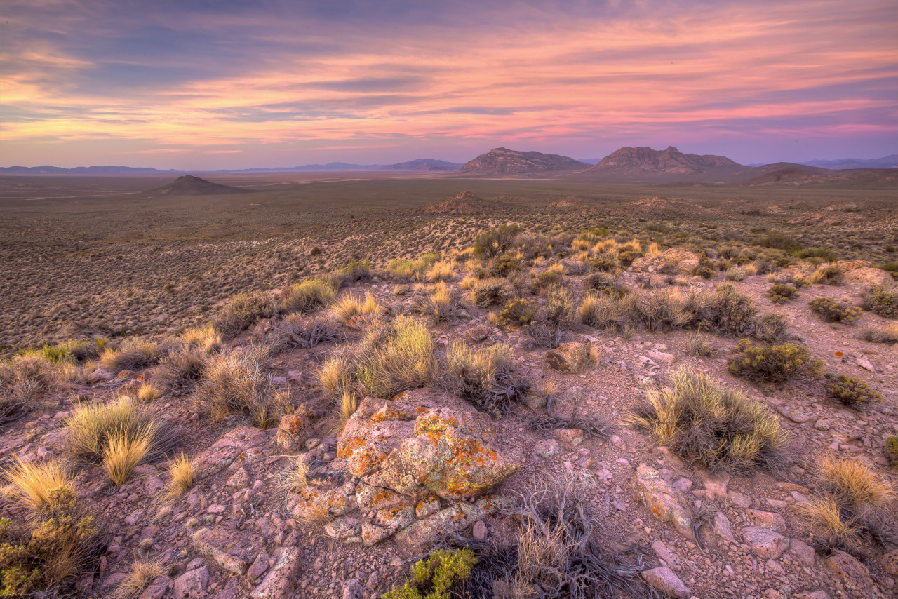 mypubliclands:  #mypubliclandsroadtrip Recap Continues with BLM Nevada! From striking