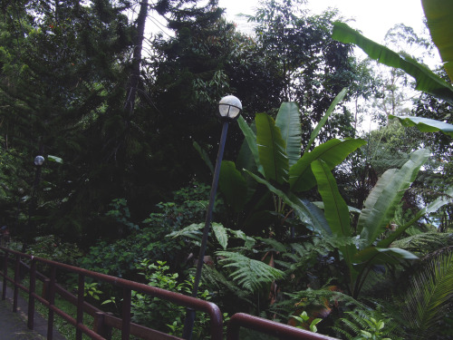 maeblr: Rainforest vibes are amazing.  The weather is cool in humid Malaysia & there was a surp