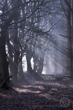 robbies-repository:  Sleepy Hollow by Robbie