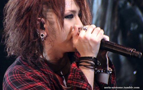 DIMSCENE TOUR &lsquo;09 - RUKI