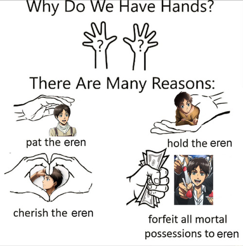 reblog your eren: Photo