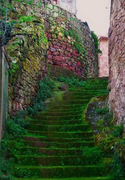 rim-runner:  Moss Stairs, Sardinia 