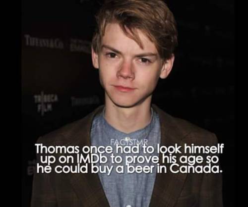 awkwrdfangirl:  thomas-precious-cinnamon-bun:  thisismyexcuseforasociallife:  The mysterious age defying evolution of Thomas Brodie-Sangster  Our gorgeous time lord  2007 and 2015 are basically the same picture so how do you explain that… 