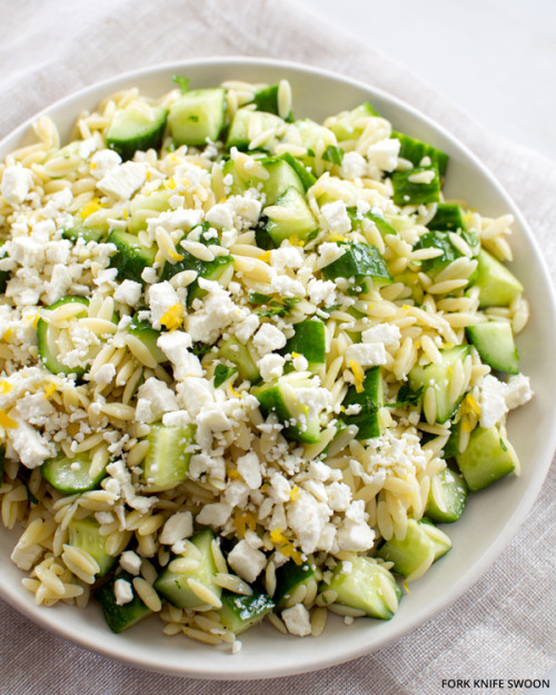 cream-and-stars:prettypasta:Lemony Orzo Pasta Salad with Cucumber and Feta@chthonic-cassandra seems 