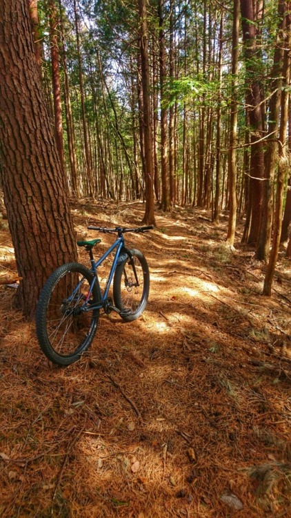 krs955:trail ride in expedition.
