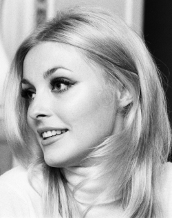 romanbymarta:  Sharon Tate (January 24, 1943