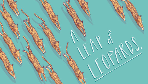 A Leap of Leopards - personal work.I finished this up yesterday. I love how some animals can have th