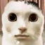 bababazinga