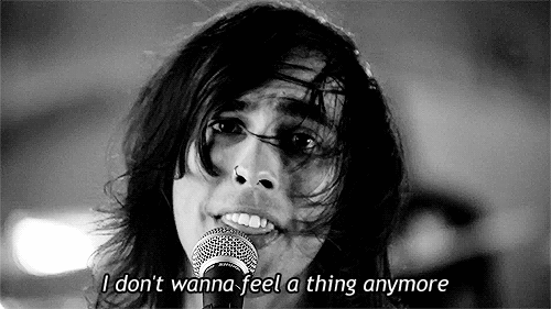 meet my dedication, inspiration