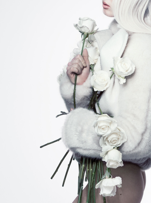 bienenkiste:Photographed by Amanda Camenisch for Friday Magazine December 2011